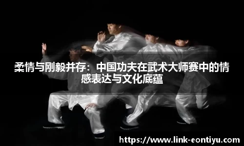 柔情与刚毅并存：中国功夫在武术大师赛中的情感表达与文化底蕴
